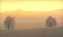 Farberfüllung eines Herbstabends II