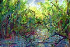 Bach im Wald