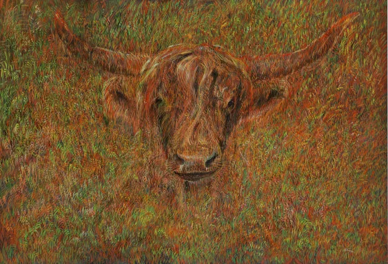 Highlander – Ölbild auf Leinwand mit dem Thema Tiere.