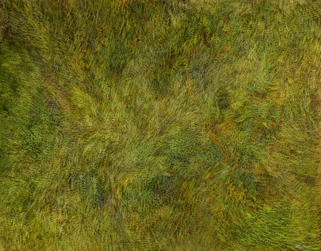 Homogene Dynamik – Ölbild auf Leinwand mit dem Thema Farbe.