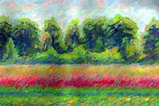 Sommernachmittag