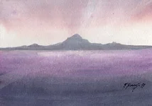 355