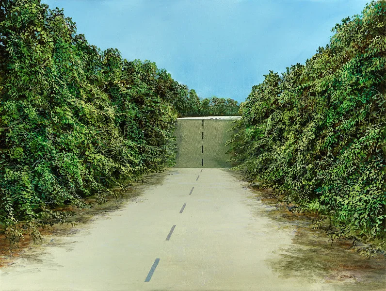 Drive Over