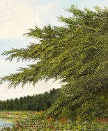 Detail 3 zu Am Fluss – Ölbild auf Leinwand mit dem Thema Parkanlagen und Gärten.