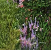Detail 9 zu An einem Garten – Ölbild auf Leinwand mit dem Thema Parkanlagen und Gärten.