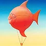 Detail 1 zu Ballonfisch – Acryl auf Holztafel mit dem Thema Tiere.