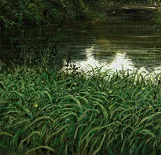 Detail 4 zu Berlin Tiergarten 1 – Ölbild auf Leinwand mit dem Thema Parkanlagen und Gärten.