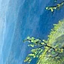 Detail 5 zu Blaue Schlucht – Ölbild auf Leinwand mit dem Thema Höhlen und Schluchten.