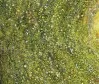 Detail 4 zu Blumenhimmel – Ölbild auf Leinwand mit dem Thema Höhlen und Schluchten.