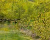 Detail 4 zu Brücke über Teich – Ölbild auf Leinwand mit dem Thema Parkanlagen und Gärten.