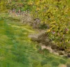 Detail 9 zu Brücke über Teich – Ölbild auf Leinwand mit dem Thema Parkanlagen und Gärten.