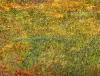 Detail 8 zu Buntes Wetter – Ölbild auf Leinwand mit dem Thema vorwiegend Wolken.