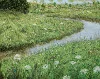 Detail 3 zu Das Sein lassen – Ölbild auf Leinwand mit dem Thema weite Landschaften.