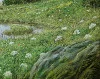 Detail 4 zu Das Sein lassen – Ölbild auf Leinwand mit dem Thema weite Landschaften.