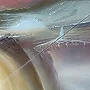 Detail 5 zu Die Andere Seite – Ölbild auf Leinwand mit dem Thema terrestrische Verformung.
