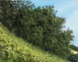 Detail 1 zu Flexible Natur – Ölbild auf Leinwand mit dem Thema Parkanlagen und Gärten.