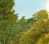 Detail 4 zu Grüner Bogen – Ölbild auf Leinwand mit dem Thema Parkanlagen und Gärten.