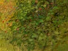 Detail 9 zu Grüner Bogen – Ölbild auf Leinwand mit dem Thema Parkanlagen und Gärten.