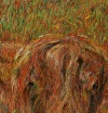 Detail 15 zu Highlander – Ölbild auf Leinwand mit dem Thema Tiere.
