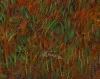Detail 26 zu Highlander – Ölbild auf Leinwand mit dem Thema Tiere.