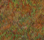Detail 6 zu Highlander – Ölbild auf Leinwand mit dem Thema Tiere.