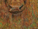 Detail 9 zu Highlander – Ölbild auf Leinwand mit dem Thema Tiere.