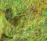 Detail 1 zu Höhlenmalerei – Ölbild auf Leinwand mit dem Thema Tiere.