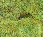 Detail 10 zu Höhlenmalerei – Ölbild auf Leinwand mit dem Thema Tiere.