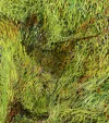 Detail 18 zu Höhlenmalerei – Ölbild auf Leinwand mit dem Thema Tiere.