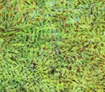 Detail 2 zu Höhlenmalerei – Ölbild auf Leinwand mit dem Thema Tiere.