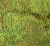 Detail 22 zu Höhlenmalerei – Ölbild auf Leinwand mit dem Thema Tiere.