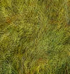 Detail 1 zu Homogene Dynamik – Ölbild auf Leinwand mit dem Thema Parkanlagen und Gärten.