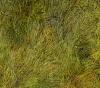 Detail 2 zu Homogene Dynamik – Ölbild auf Leinwand mit dem Thema Parkanlagen und Gärten.