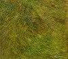 Detail 5 zu Homogene Dynamik – Ölbild auf Leinwand mit dem Thema Parkanlagen und Gärten.