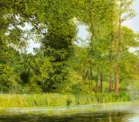 Detail 1 zu Idyll am Fluss – Ölbild auf Leinwand mit dem Thema Parkanlagen und Gärten.