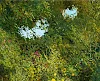 Detail 1 zu In der kleinen Welt – Ölbild auf Leinwand mit dem Thema Parkanlagen und Gärten.