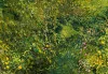 Detail 6 zu In der kleinen Welt – Ölbild auf Leinwand mit dem Thema Parkanlagen und Gärten.