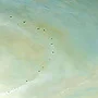 Detail 3 zu Interkontinentaler Flug – Acryl auf Holztafel mit dem Thema weite Landschaften.