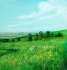 Detail 2 zu Kleine Wasserwanderung – Acryl auf Holztafel mit dem Thema weite Landschaften.