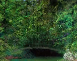 Detail 4 zu Langsames Wasser – Ölbild auf Leinwand mit dem Thema Parkanlagen und Gärten.