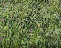 Detail 8 zu Minteret Garden 2 – Ölbild auf Leinwand mit dem Thema Parkanlagen und Gärten.