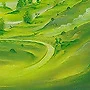 Detail 1 zu Mittelweg – Ölbild auf Leinwand mit dem Thema terrestrische Verformung.