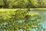 Detail 3 zu Parkside – Ölbild auf Leinwand mit dem Thema Parkanlagen und Gärten.