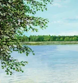 Detail 1 zu See bei Müncheberg – Ölbild auf Leinwand mit dem Thema Meer oder See.