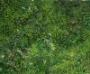Detail 2 zu Vogelperspektive – Ölbild auf Leinwand mit dem Thema Parkanlagen und Gärten.