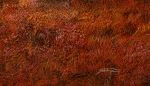 Detail 9 zu Welt im Licht – Ölbild auf Leinwand mit dem Thema vorwiegend Lichtstrahlen.