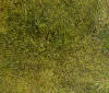 Detail 3 zu Wiesenflug – Ölbild auf Leinwand mit dem Thema Parkanlagen und Gärten.