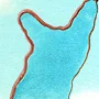 Detail 4 zu Ziehen – Ölbild auf Leinwand mit dem Thema .