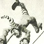 Detail 2 zu Umzug – Mischtechnik auf Papier mit dem Thema .