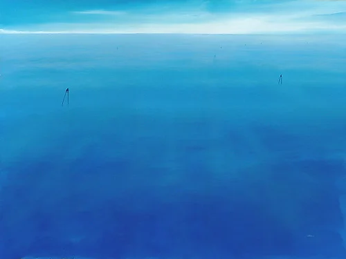 Wasserläufer